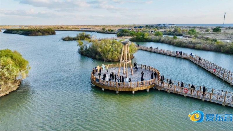 迷期盼的激 迷期盼的激